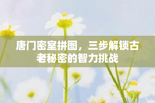 唐门密室拼图，三步解锁古老秘密的智力挑战