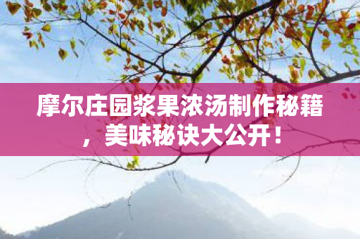 摩尔庄园浆果浓汤制作秘籍，美味秘诀大公开！