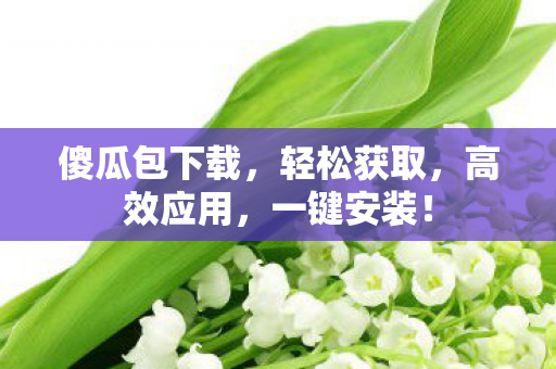 傻瓜包下载，轻松获取，高效应用，一键安装！