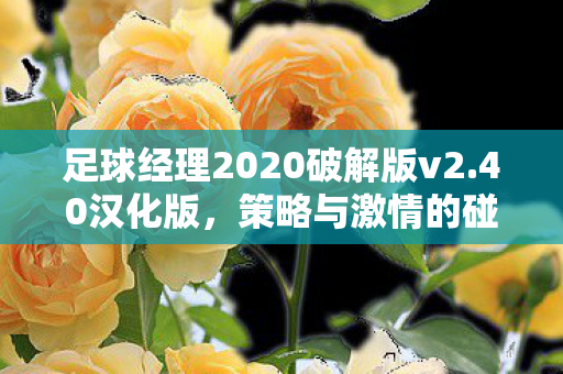 足球经理2020破解版v2.40汉化版，策略与激情的碰撞，解锁无限可能！