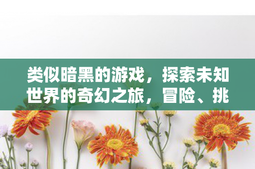 类似暗黑的游戏，探索未知世界的奇幻之旅，冒险、挑战与惊喜