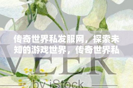 传奇世界私发服网,探索未知的游戏世界,传奇世界私发服网,探索未知游戏世界的奇妙之旅 传奇世界私发服网,探索未知的游戏世界,传奇世界私发服网,探索未知游戏世界的奇妙之旅