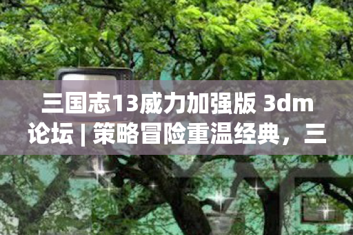 三国志13威力加强版 3dm论坛 | 策略冒险重温经典，三国志13加强版攻略分享！