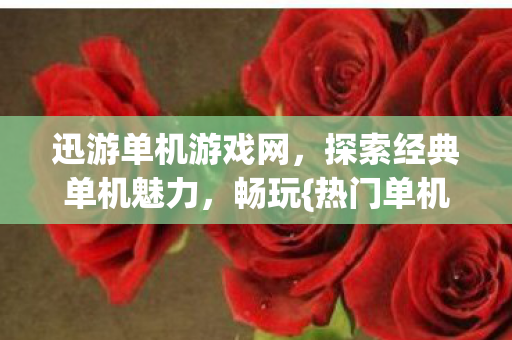迅游单机游戏网，探索经典单机魅力，畅玩{热门单机游戏}！
