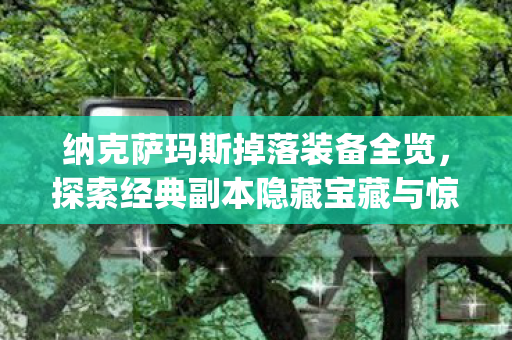 纳克萨玛斯掉落装备全览,探索经典副本隐藏宝藏与惊喜{掉落} 纳克萨玛斯掉落装备全览,探索经典副本隐藏宝藏与惊喜{掉落}