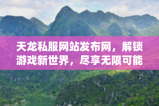 天龙私服网站发布网图片