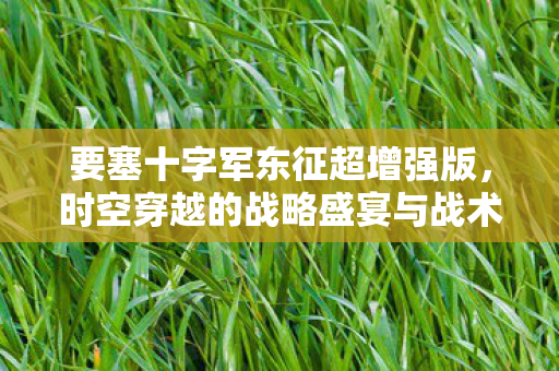 时空穿越的战略盛宴与战术挑战图片