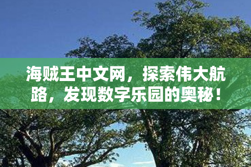 发现数字乐园的奥秘图片