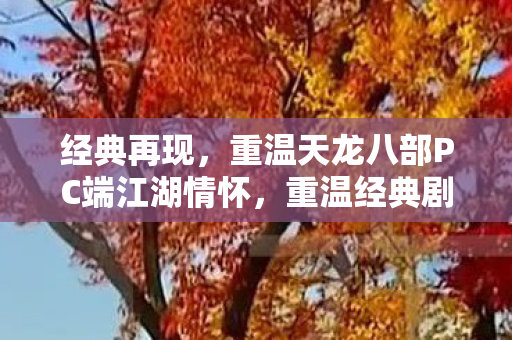 重温天龙八部PC端江湖情怀图片