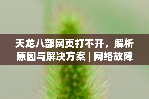 天龙八部网页打不开图片