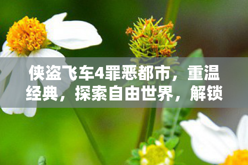 侠盗飞车4罪恶都市，重温经典，探索自由世界，解锁隐藏彩蛋！