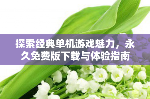 探索经典单机游戏魅力,永久免费版下载与体验指南 探索经典单机游戏魅力,永久免费版下载与体验指南
