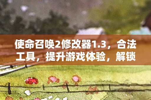 使命召唤2修改器1.3，合法工具，提升游戏体验，解锁无限可能！