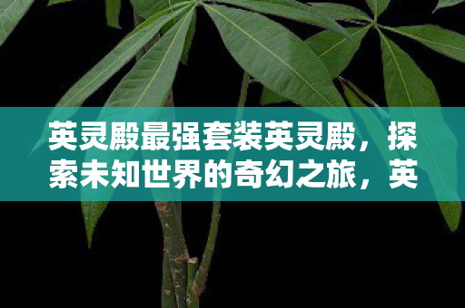 英灵殿最强套装英灵殿，探索未知世界的奇幻之旅，英灵殿，探索未知世界的奇幻之旅