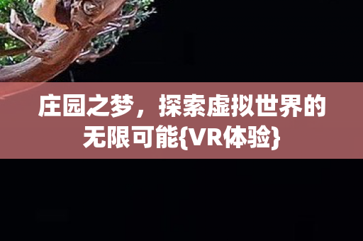 庄园之梦，探索虚拟世界的无限可能{VR体验}