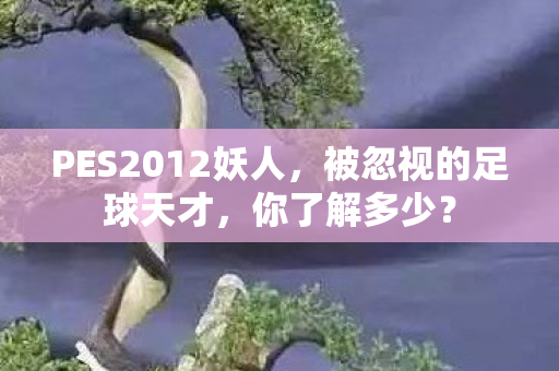 PES2012妖人，被忽视的足球天才，你了解多少？