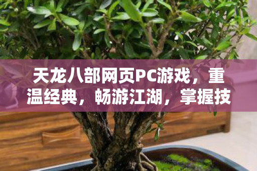 天龙八部网页PC游戏图片
