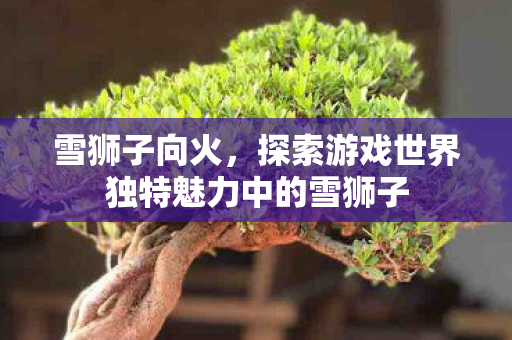雪狮子向火，探索游戏世界独特魅力中的雪狮子