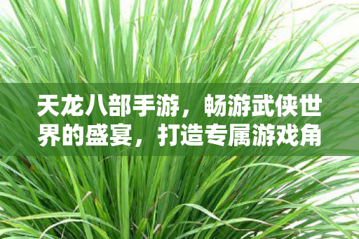 畅游武侠世界的盛宴图片