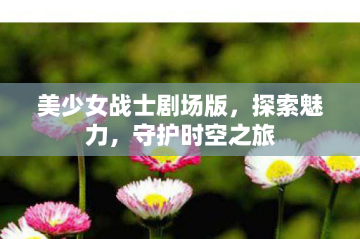 美少女战士剧场版,探索魅力,守护时空之旅 美少女战士剧场版,探索魅力,守护时空之旅