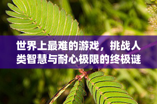 世界上最难的游戏,挑战人类智慧与耐心极限的终极谜题!{游戏攻略} 世界上最难的游戏,挑战人类智慧与耐心极限的终极谜题!{游戏攻略}