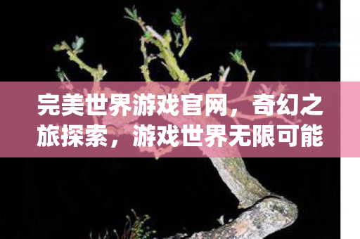 完美世界游戏官网图片