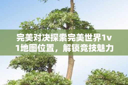 完美对决探索完美世界1v1地图位置图片