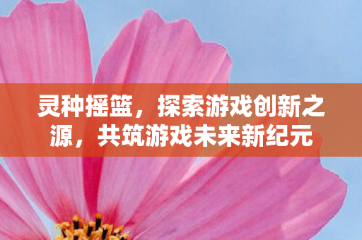 灵种摇篮，探索游戏创新之源，共筑游戏未来新纪元