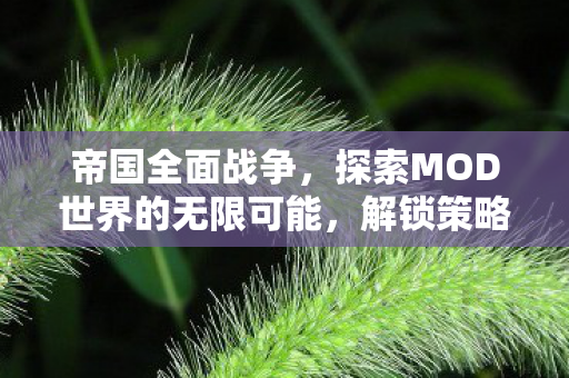 探索MOD世界的无限可能图片