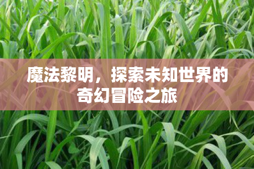 魔法黎明，探索未知世界的奇幻冒险之旅