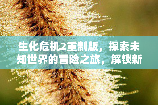 生化危机2重制版，探索未知世界的冒险之旅，解锁新角色与剧情！