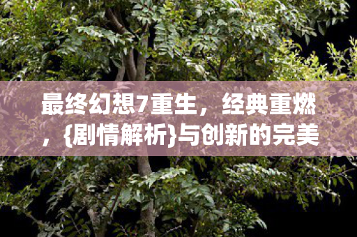 与创新的完美融合图片