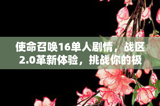 使命召唤16单人剧情，战区2.0革新体验，挑战你的极限！