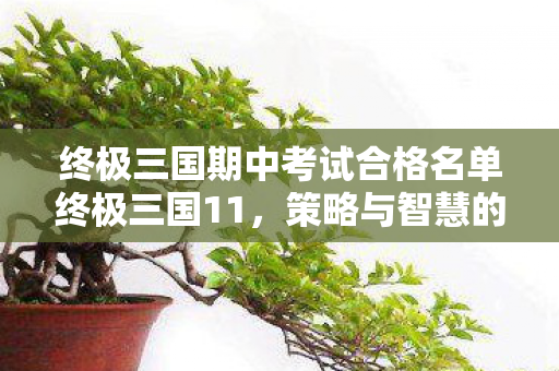 终极三国期中考试合格名单终极三国11，策略与智慧的巅峰对决，谁将胜出？
