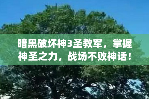 暗黑破坏神3圣教军,掌握神圣之力,战场不败神话!{圣教军技能解析} 暗黑破坏神3圣教军,掌握神圣之力,战场不败神话!{圣教军技能解析}