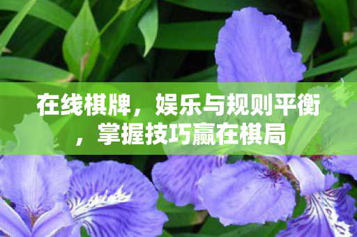 在线棋牌,娱乐与规则平衡,掌握技巧赢在棋局 在线棋牌,娱乐与规则平衡,掌握技巧赢在棋局
