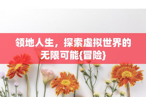 领地人生，探索虚拟世界的无限可能{冒险}
