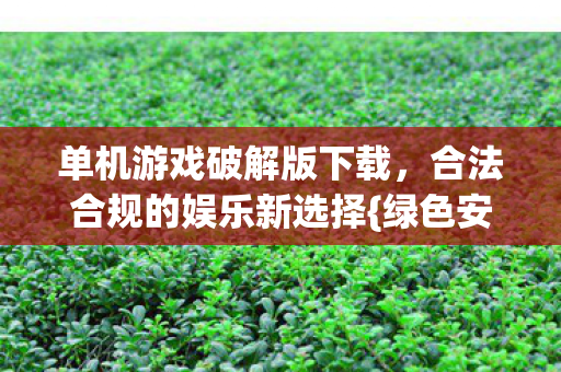 单机游戏破解版下载,合法合规的娱乐新选择{绿色安全} 单机游戏破解版下载,合法合规的娱乐新选择{绿色安全}