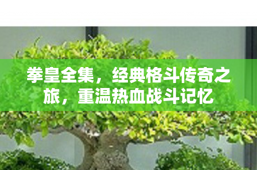 拳皇全集,经典格斗传奇之旅,重温热血战斗记忆 拳皇全集,经典格斗传奇之旅,重温热血战斗记忆