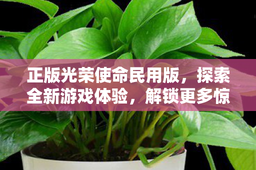 正版光荣使命民用版,探索全新游戏体验,解锁更多惊喜! 正版光荣使命民用版,探索全新游戏体验,解锁更多惊喜!