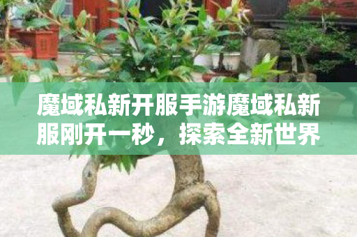 魔域私新开服手游魔域私新服刚开一秒图片