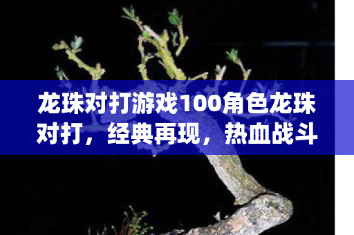 龙珠对打游戏100角色龙珠对打图片