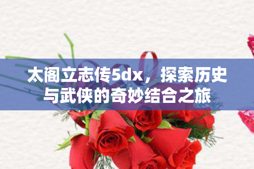 太阁立志传5dx，探索历史与武侠的奇妙结合之旅