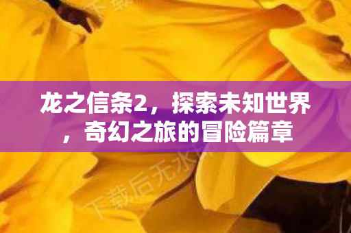 龙之信条2，探索未知世界，奇幻之旅的冒险篇章