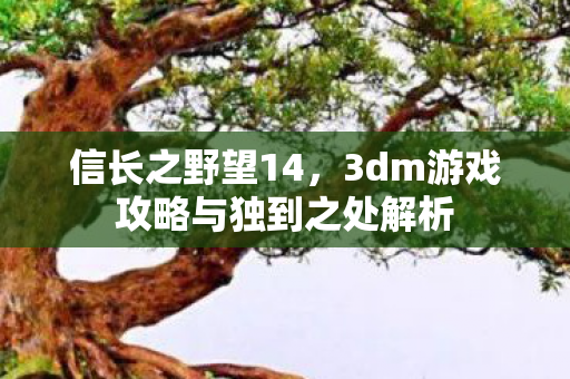 信长之野望14,3dm游戏攻略与独到之处解析 信长之野望14,3dm游戏攻略与独到之处解析