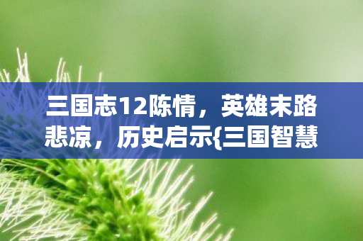 三国志12陈情，英雄末路悲凉，历史启示{三国智慧}
