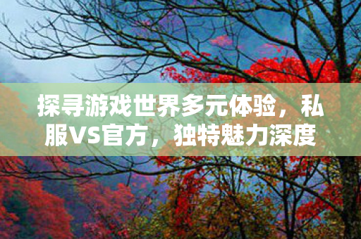 探寻游戏世界多元体验,私服VS官方,独特魅力深度对比 探寻游戏世界多元体验,私服VS官方,独特魅力深度对比