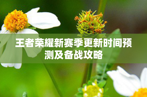 王者荣耀新赛季更新时间预测及备战攻略图片