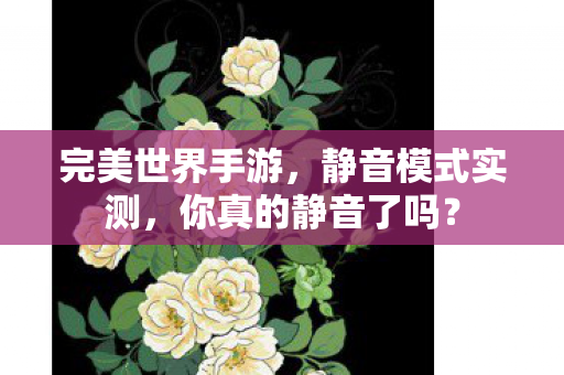 你真的静音了吗图片