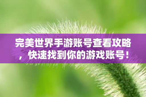 完美世界手游账号查看攻略图片